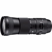 150-600mm f:5-6.3 DG OS HSM | C (Nikon)